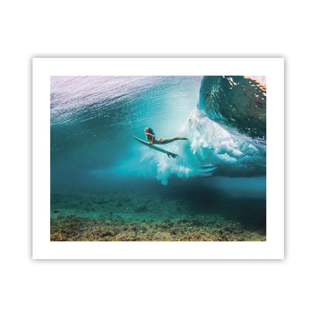 Pôster - O mundo subaquático - 50x40 cm