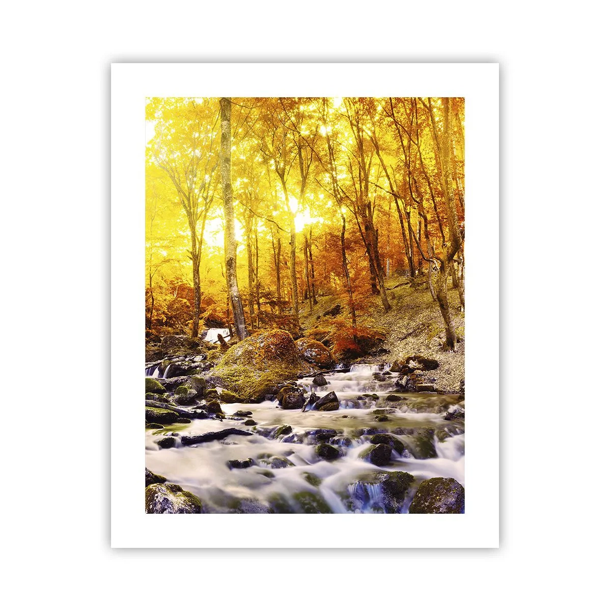 Pôster - Pedras emolduradas em ouro e platina - 40x50 cm