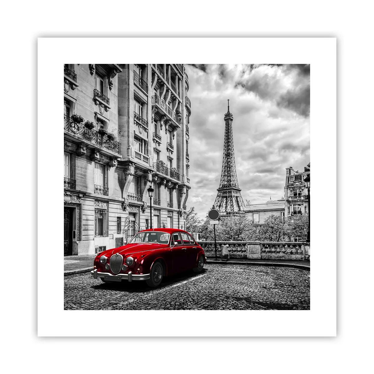 Pôster - Predador na cidade - 40x40 cm