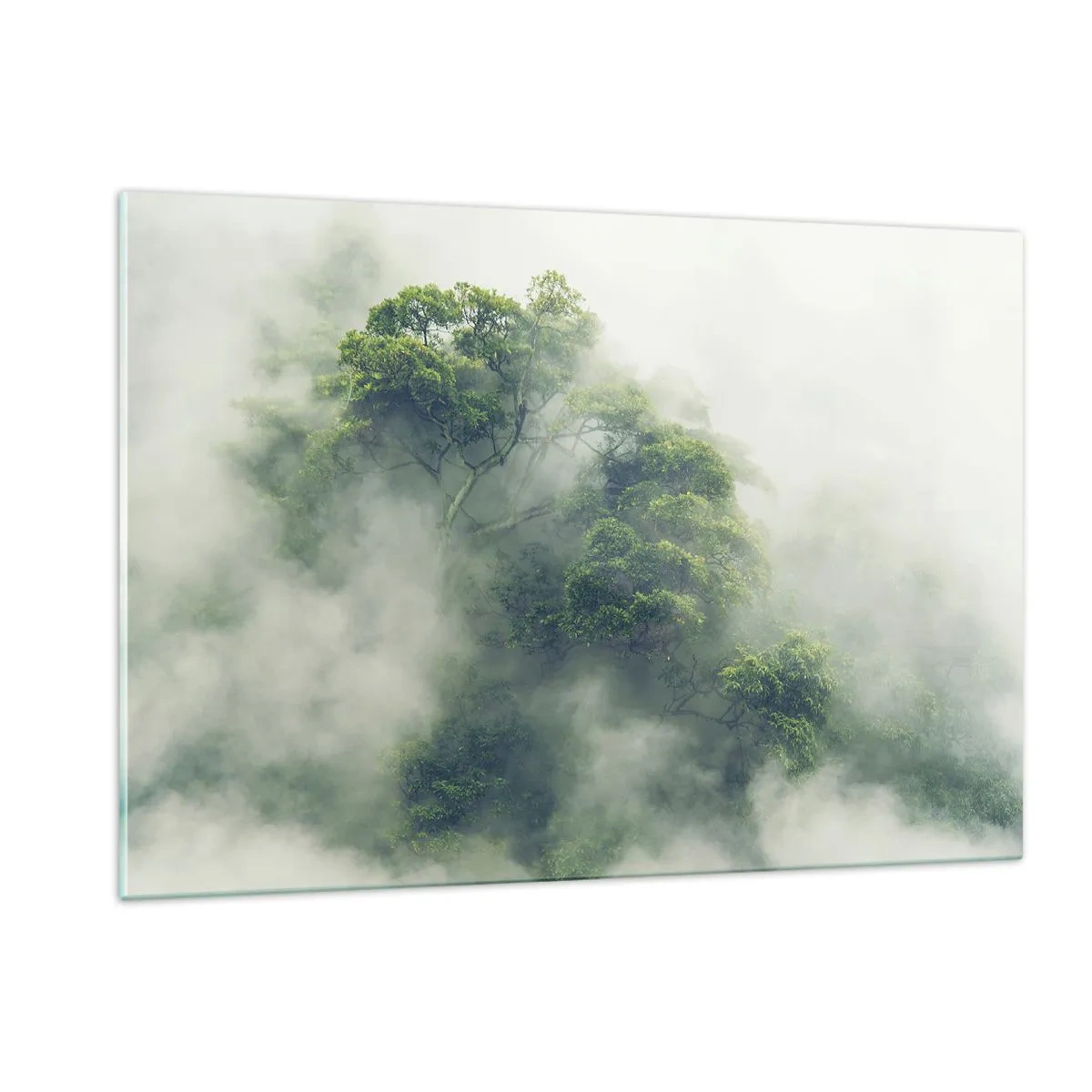 Quadro em vidro - Envolto em neblina - 120x80 cm