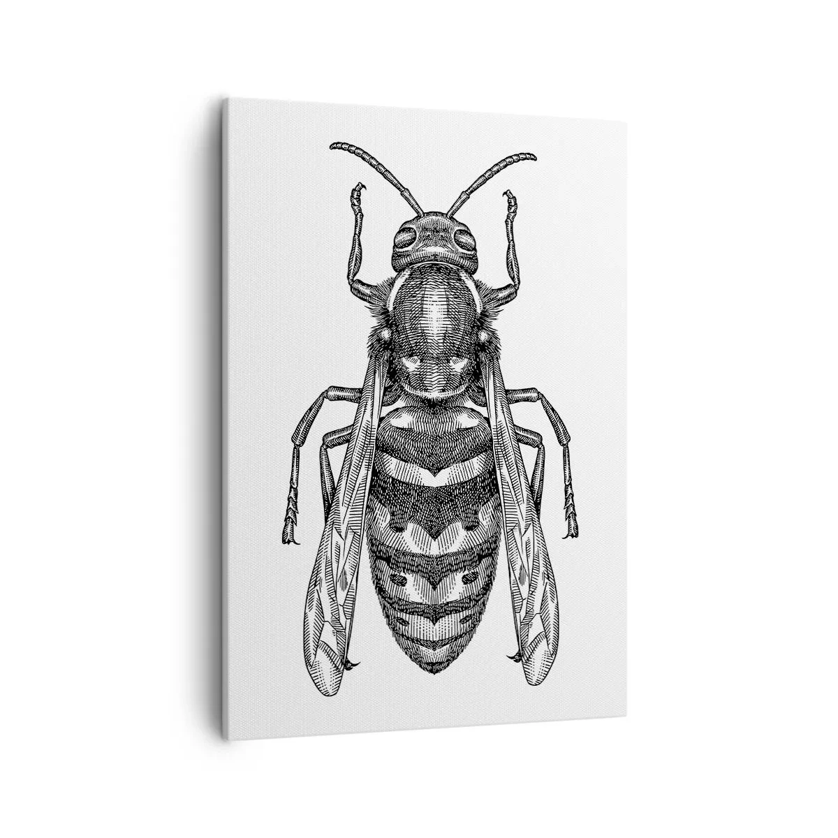 Quadro em tela - De um planeta de insetos - 50x70 cm