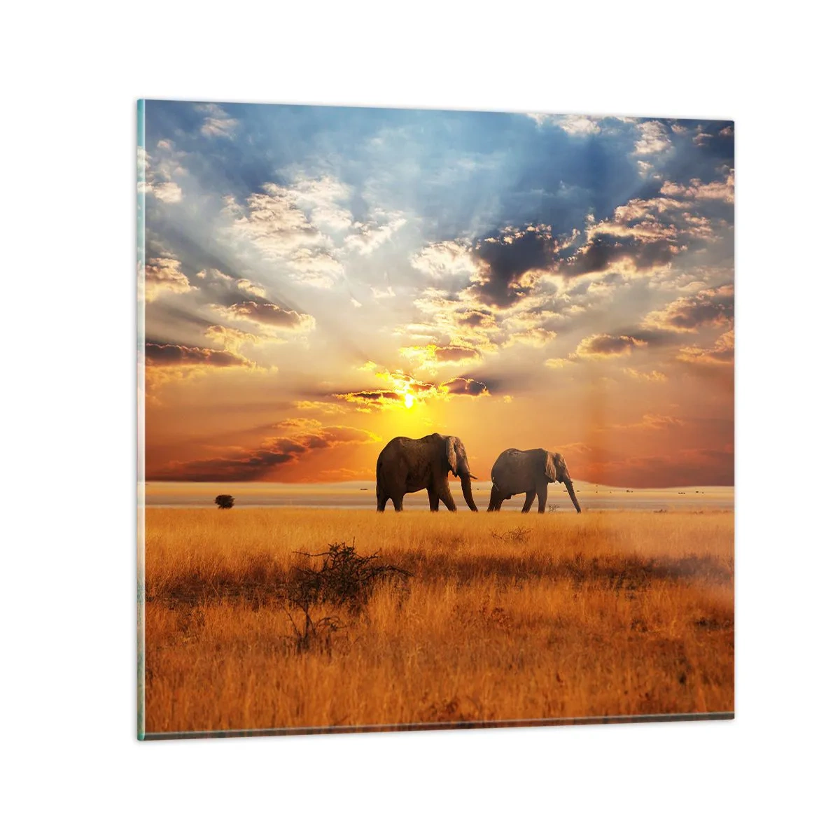 Quadro em vidro - Caminhada em família - 40x40 cm