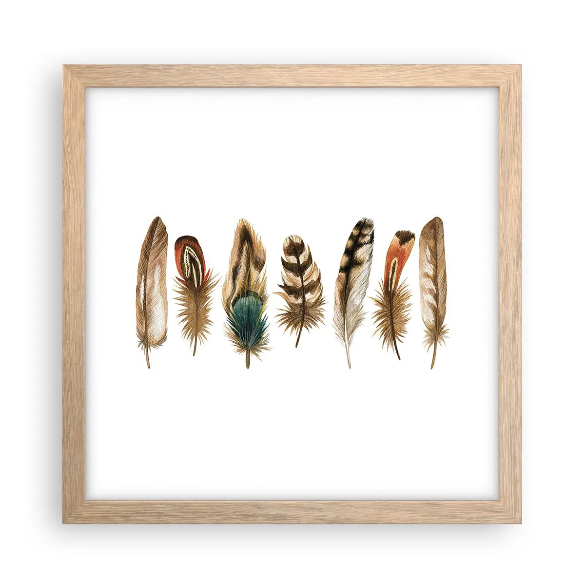 Pôster com moldura de carvalho claro - Variações de penas - 30x30 cm