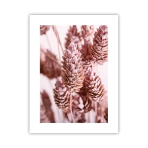 Pôster - Aparentemente discreto - 30x40 cm