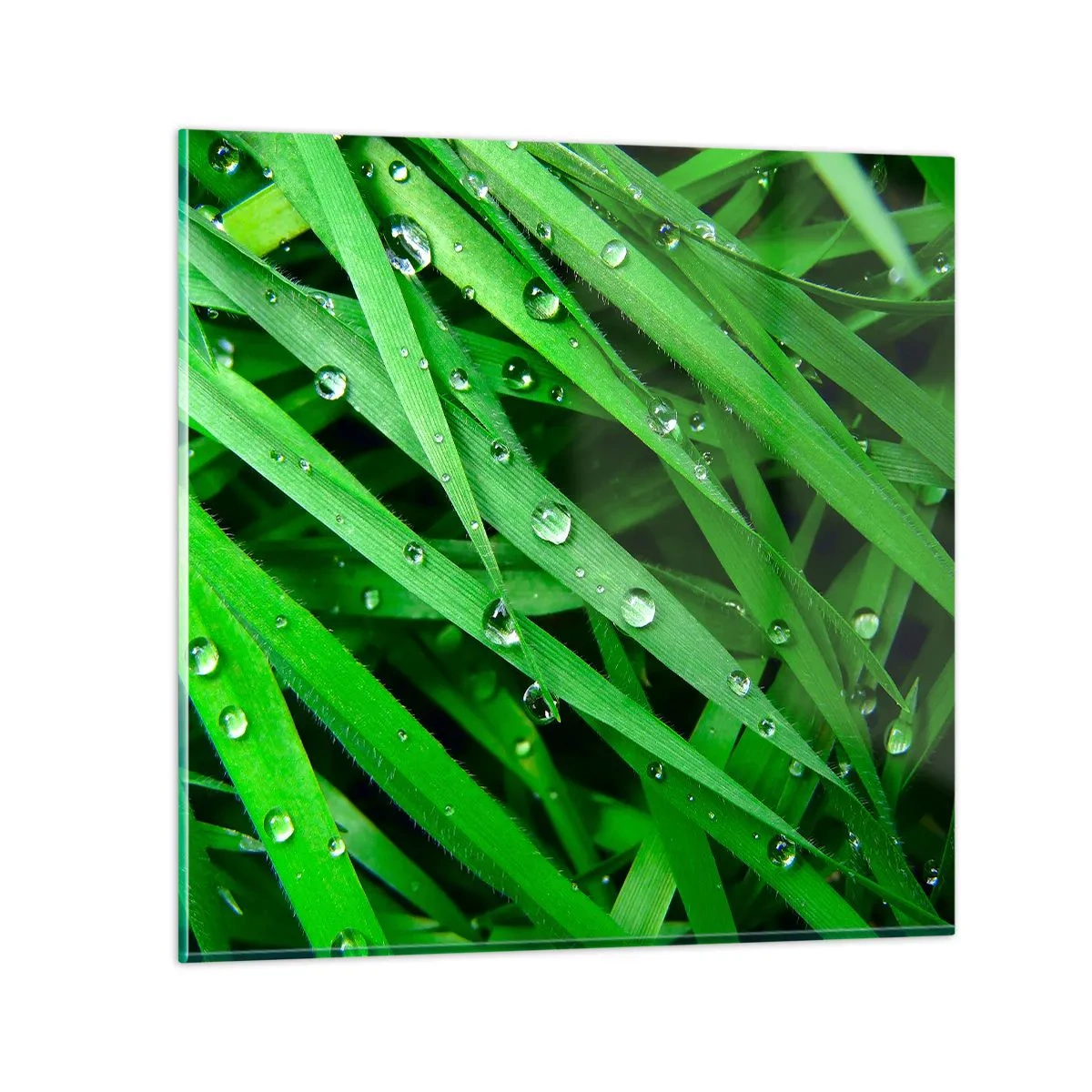 Quadro em vidro - Jogue no verde - 40x40 cm
