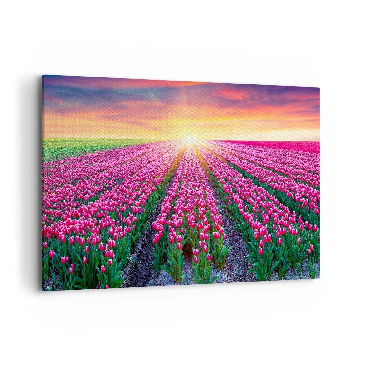 Quadro em tela - Quinta da Beleza - 100x70 cm