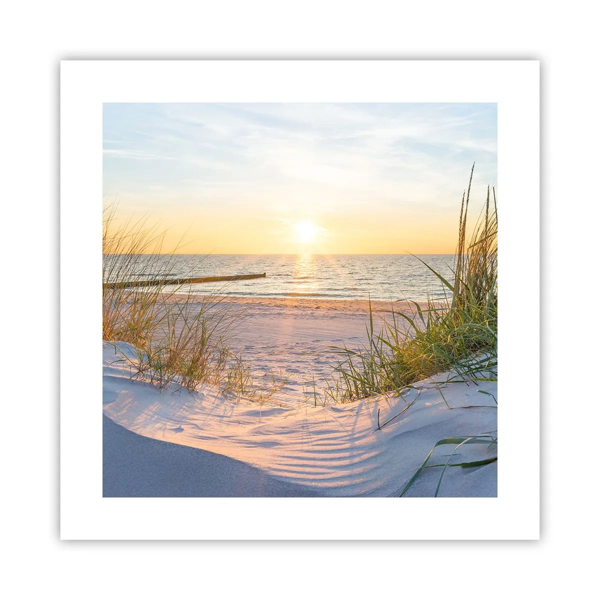 Pôster - O som do mar, o canto dos pássaros, a praia selvagem entre a relva... - 40x40 cm