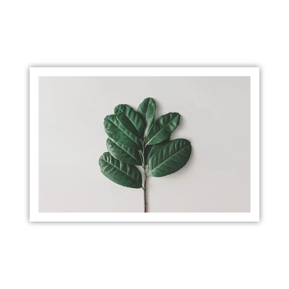 Pôster - Desenho da própria natureza - 91x61 cm