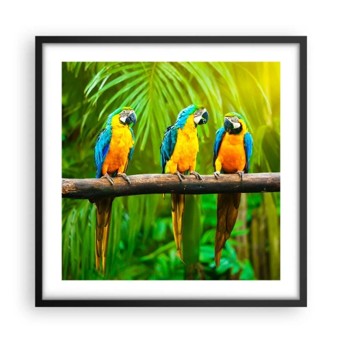 Pôster com moldura preta - E ouviste dizer que ela...? - 50x50 cm