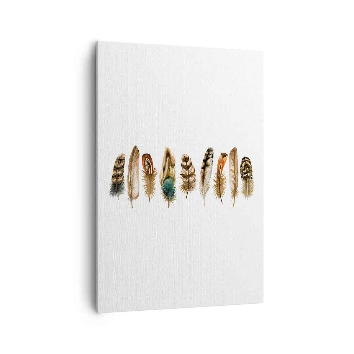 Quadro em tela - Variações de penas - 70x100 cm