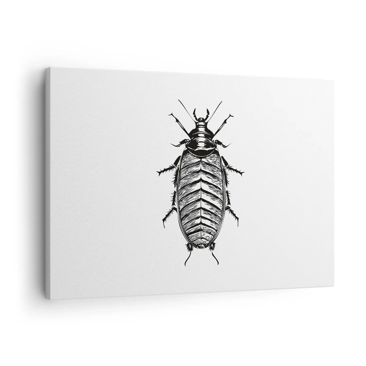 Quadro em tela - Gráfico de um inseto preto e branco em um fundo branco - 70x50cm - Que exemplo! - Decoração de parede moderna para a sala de estar e quarto ARTTOR