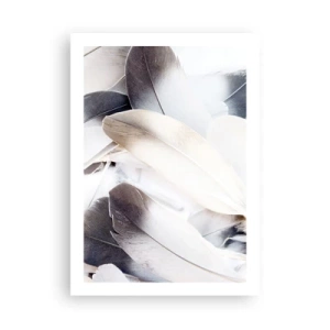 Pôster - Semi-angelical - 50x70 cm