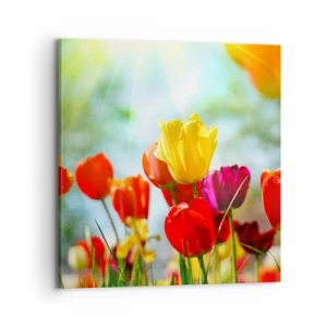 Quadro em tela - Todas as cores do sol - 70x70 cm