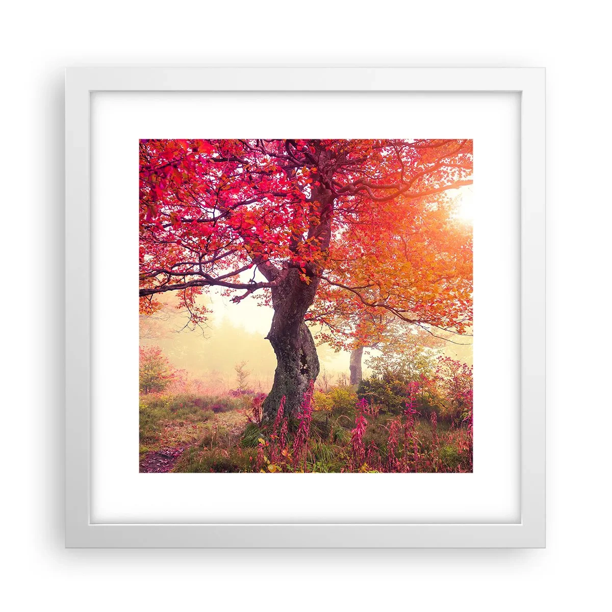 Pôster em moldura branca - Um frenesi de florescimento - 30x30 cm