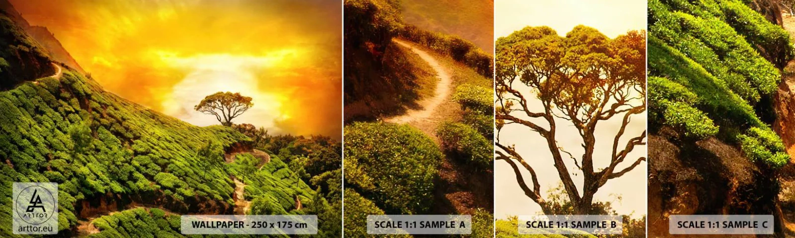 Amostra de Papel de Parede Standard Eco - Um caminho sinuoso, uma encosta verde - Paisagem, Plantação de chá, Índia - 100x30 cm