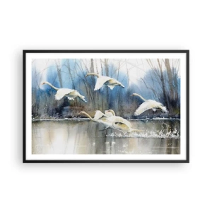 Pôster com moldura preta - Como no conto de fadas sobre cisnes selvagens - 91x61 cm