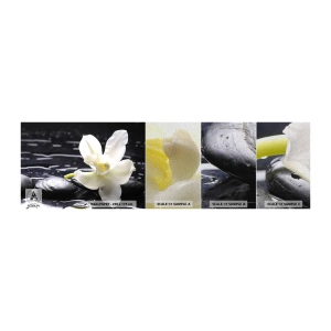 Amostra de papel de parede Premium Sand - Estudo a preto e branco - Flores, Pedras, Orquídea - 100x30 cm