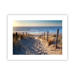 Pôster - O som do mar, o canto dos pássaros, a praia selvagem entre a relva... - 40x30 cm