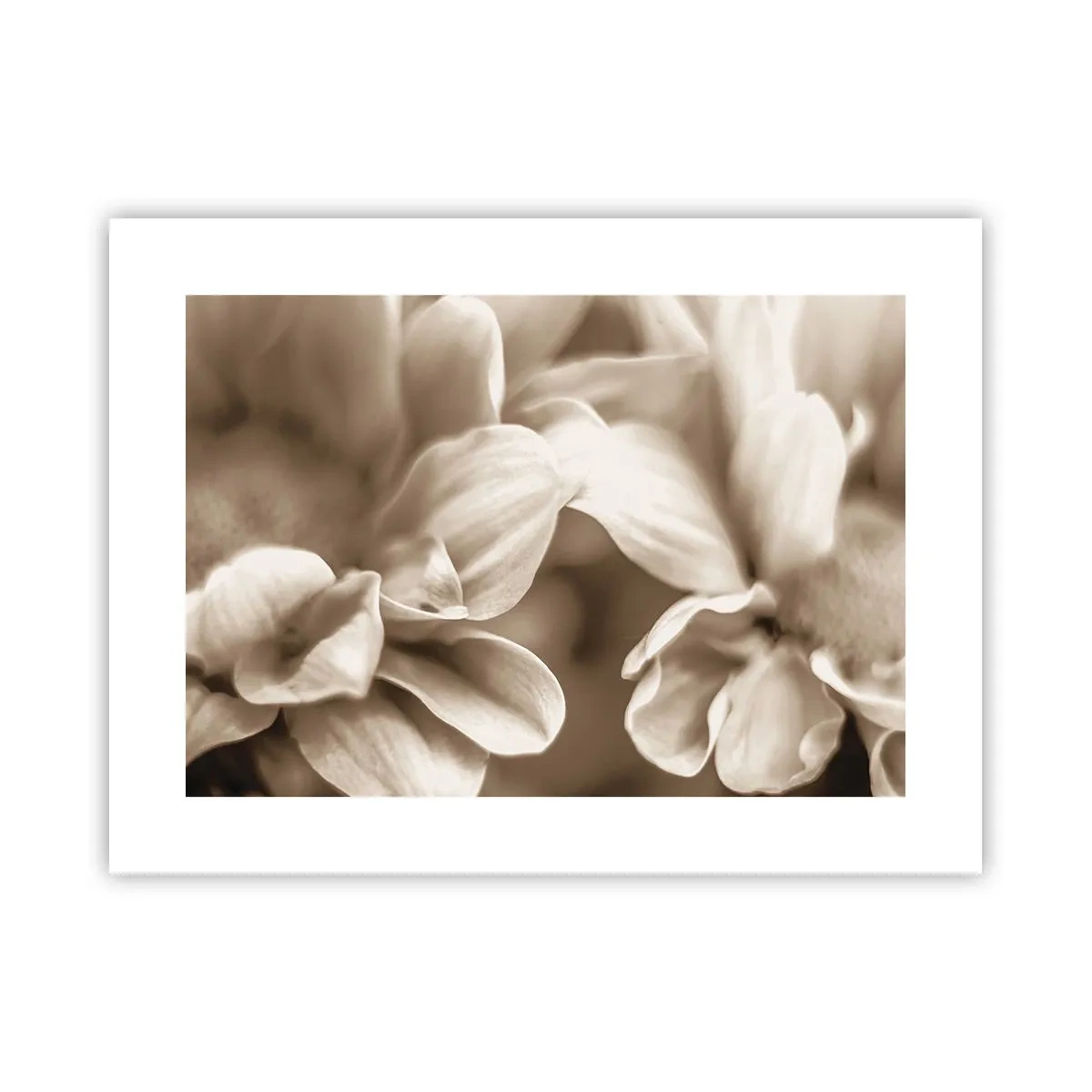 Pôster - Gentil como um sorriso - 40x30 cm