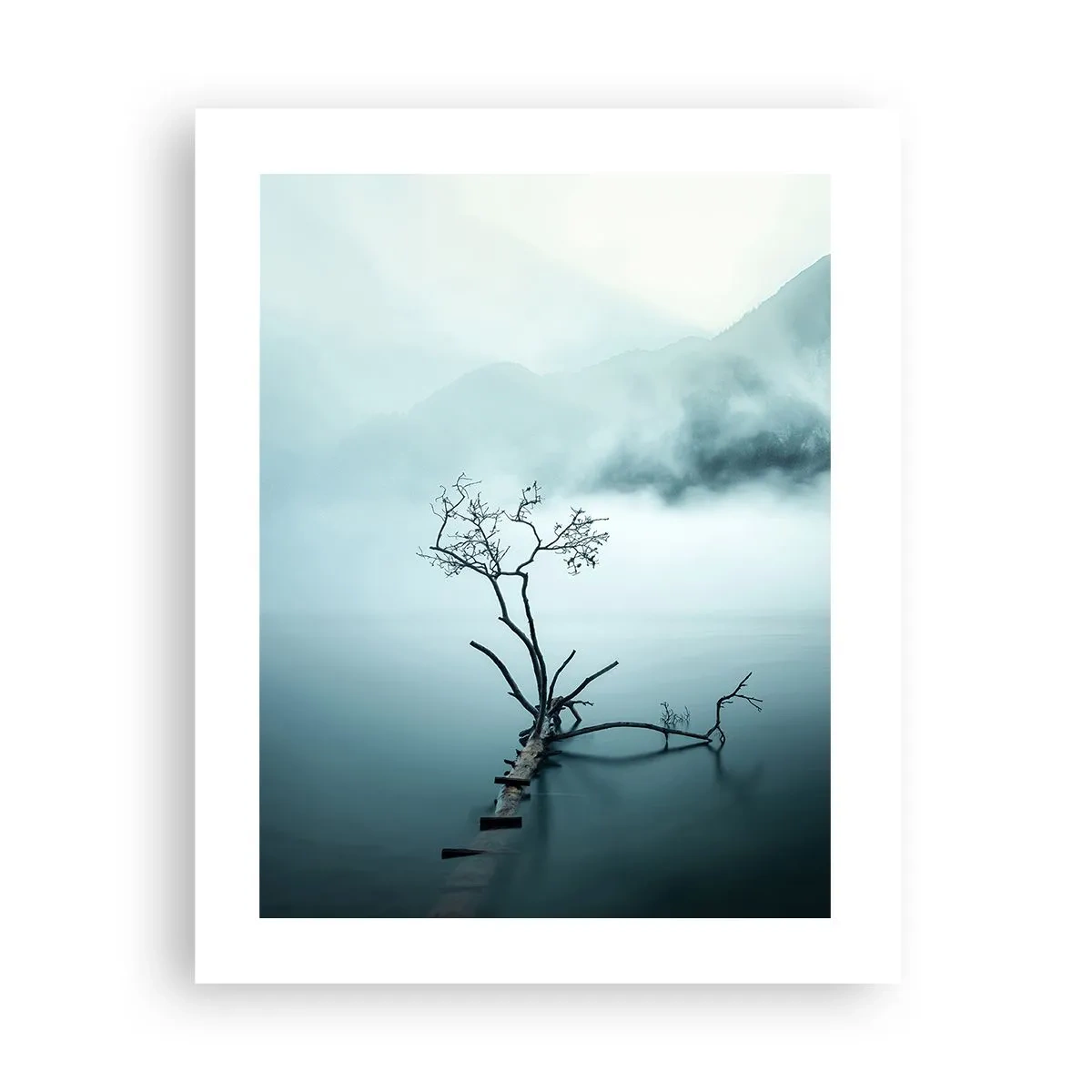 Pôster - Da água e da neblina - 40x50 cm