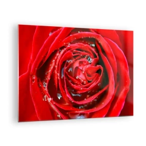 Quadro em vidro - Close-up de uma rosa vermelha com gotas de orvalho - 70x50cm - Em gotas de orvalho - Decoração de parede moderna para a sala de estar e quarto ARTTOR