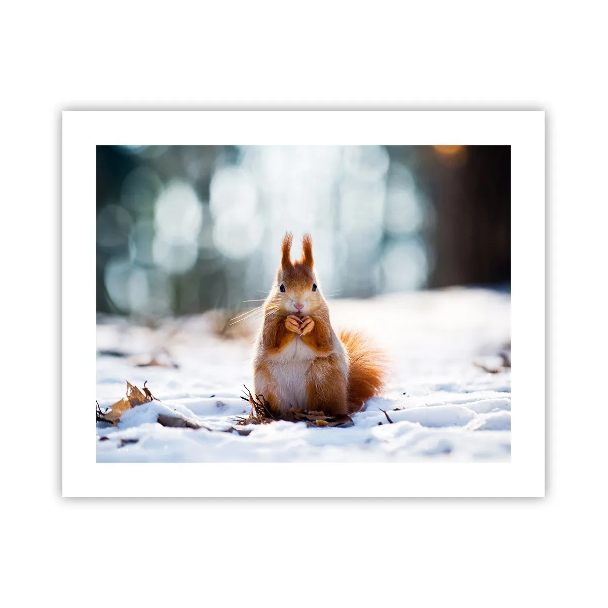 Pôster - Para o que estás a olhar? - 50x40 cm