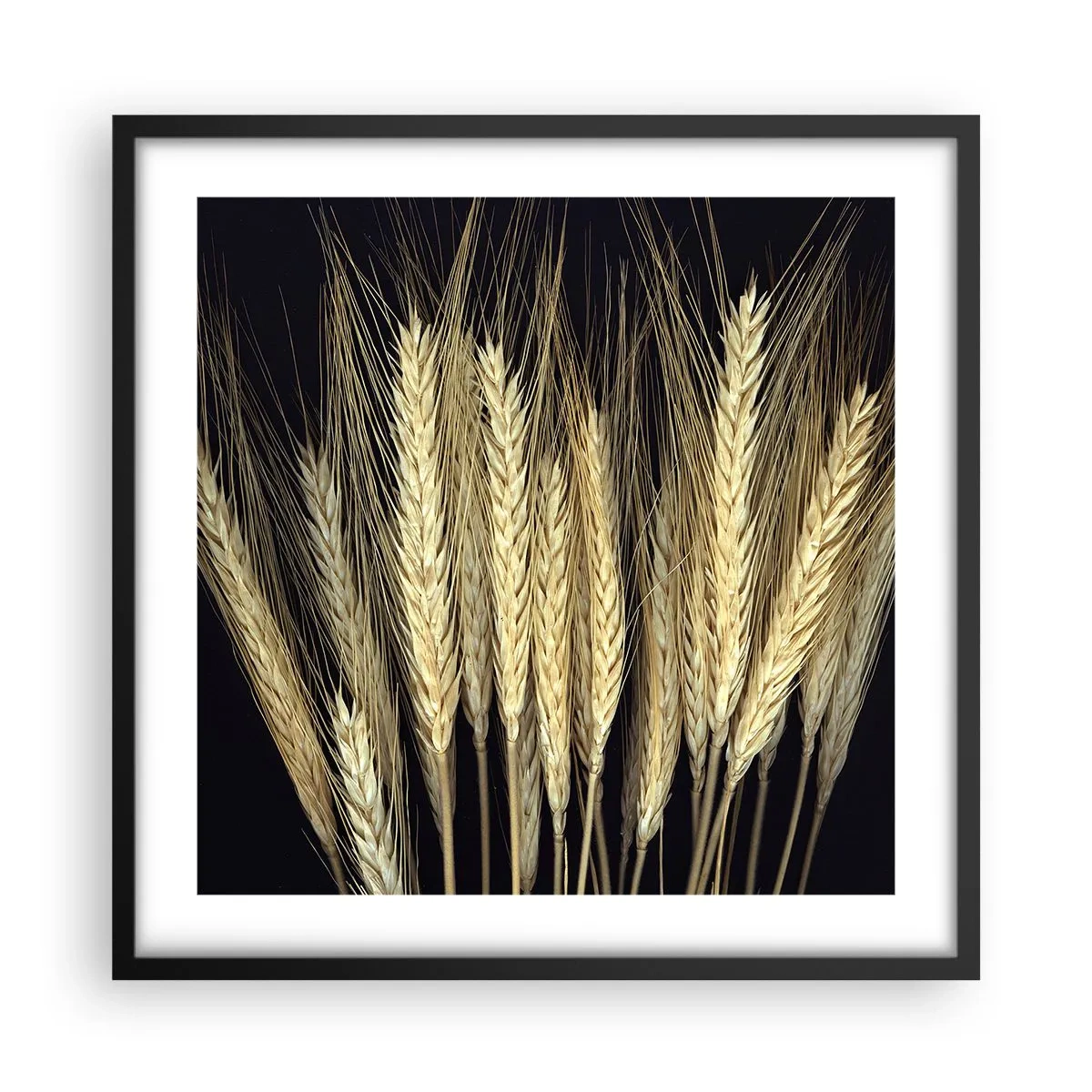 Pôster com moldura preta - Magia rústica - 50x50 cm