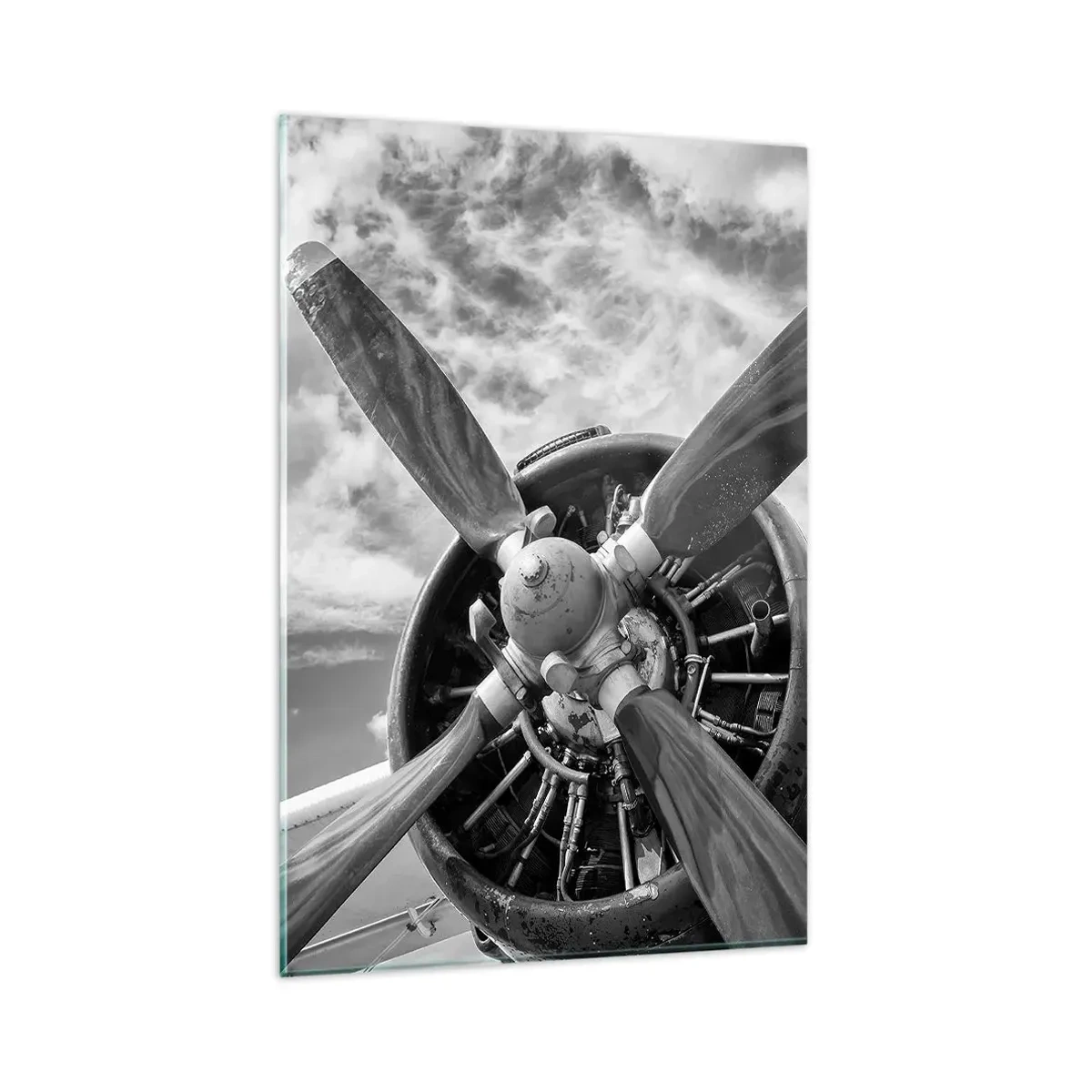 Quadro em vidro - O conquistador dos céus - 80x120 cm