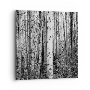 Quadro em tela - Colunata de bétula - 30x30 cm