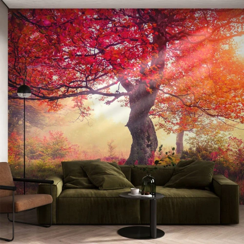 Papel de Parede Autocolante Deluxe Sticker - Um frenesi de florescimento - Paisagem, Parque, Flores - 400x280 cm
