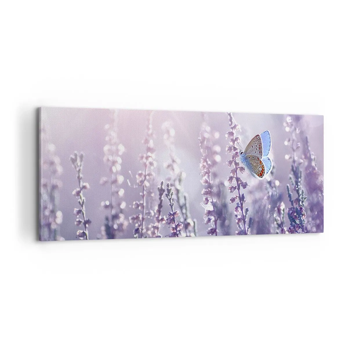 Quadro em tela - O beijo da borboleta - 100x40 cm