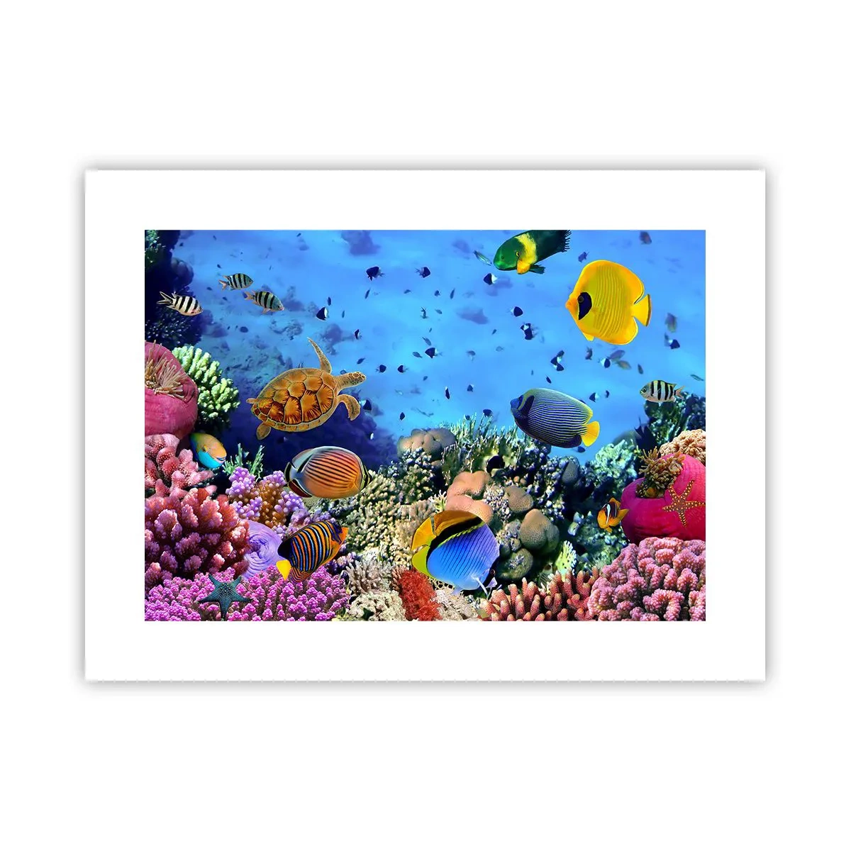 Pôster - E o que sabemos sobre a vida... - 40x30 cm