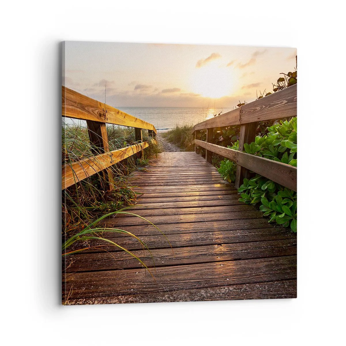 Quadro em tela - Direto para a costa - 70x70 cm