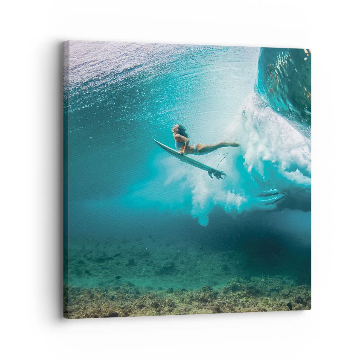 Quadro em tela - O mundo subaquático - 30x30 cm