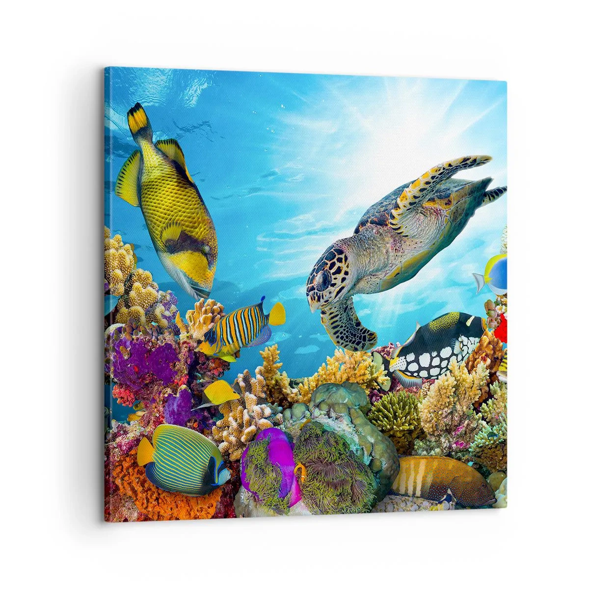 Quadro em tela - Alameda dos corais - 60x60 cm