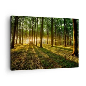 Quadro em tela - O pôr do sol na floresta decídua - 70x50cm - Fotografia de todas as primaveras - Decoração de parede moderna para a sala de estar e quarto ARTTOR