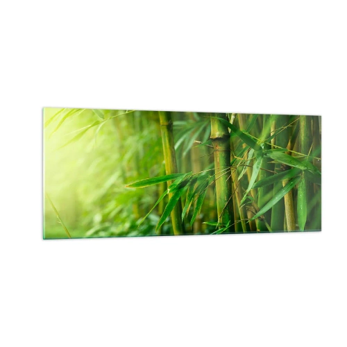 Quadro em vidro - Conheça a vegetação - 100x40 cm