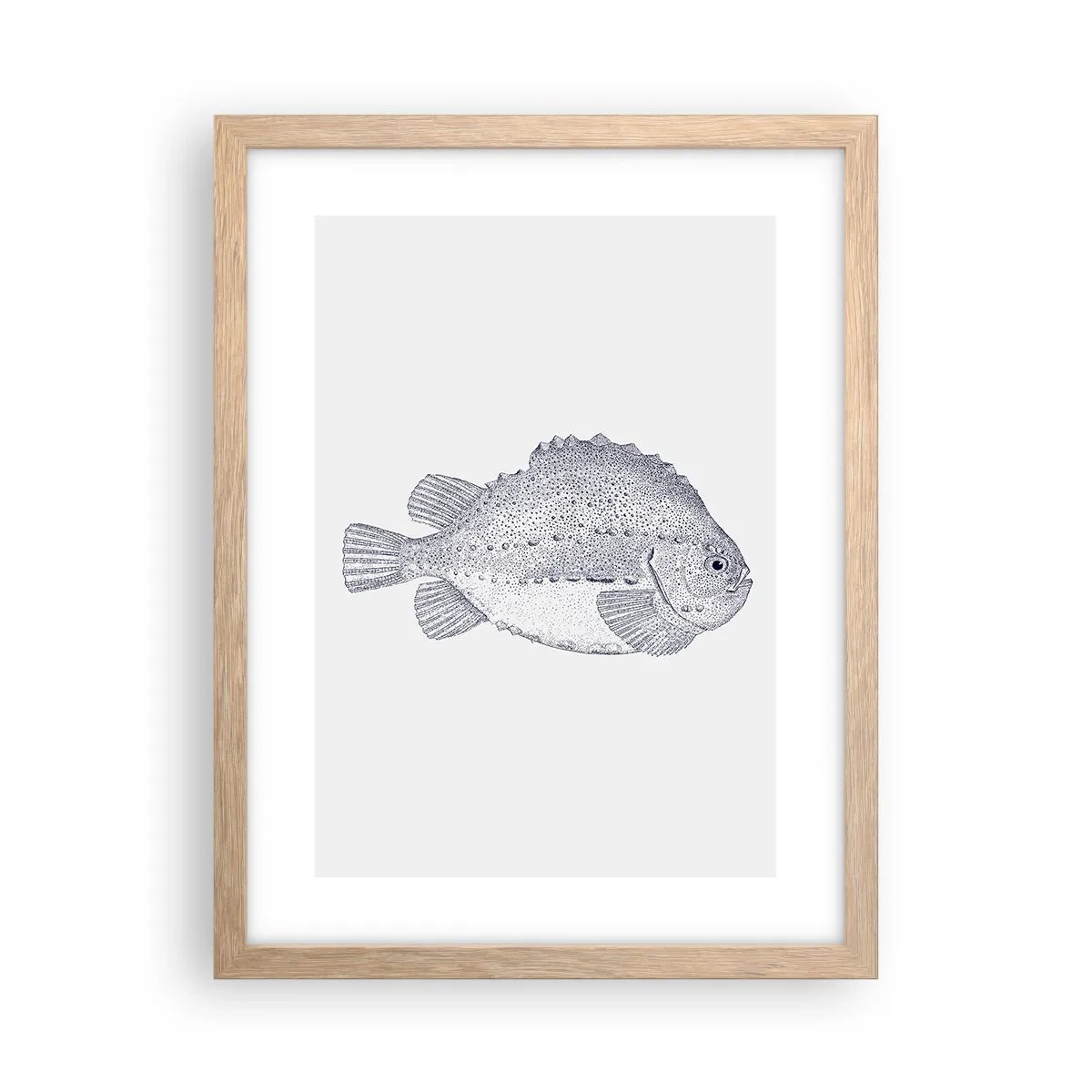 Pôster com moldura de carvalho claro - Para o álbum do naturalista - 30x40 cm