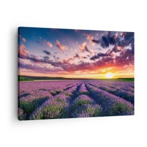 Quadro em tela - Um campo de lavanda ao pôr do sol com um céu colorido - 70x50cm - O mundo da lavanda - Decoração de parede moderna para a sala de estar e quarto ARTTOR