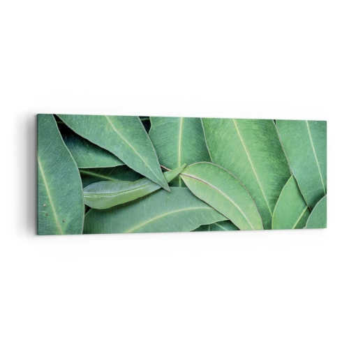 Quadro em tela - Suculentas e frescas - 140x50 cm