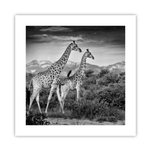 Pôster - Alta Sociedade na África - 40x40 cm