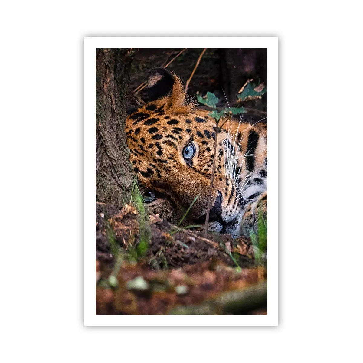 Pôster - Confie em mim - 61x91 cm