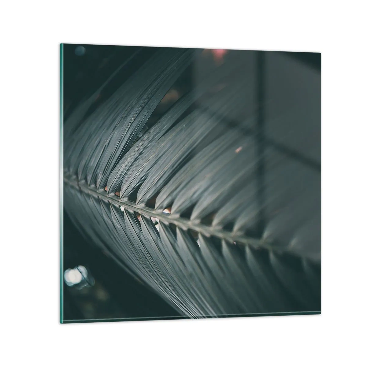 Quadro em vidro - A precisão da natureza - 40x40 cm
