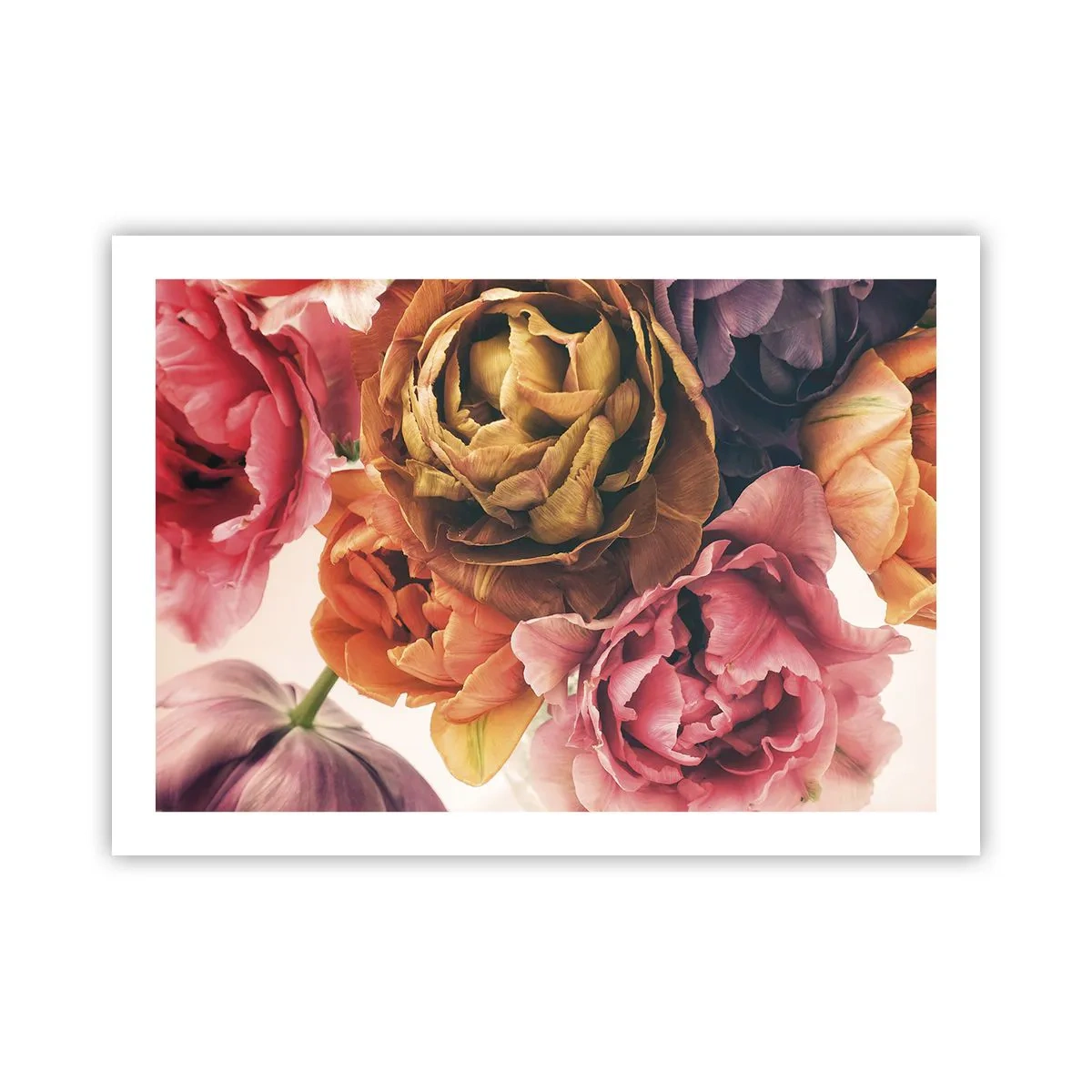 Pôster - Celebração da vida - 70x50 cm