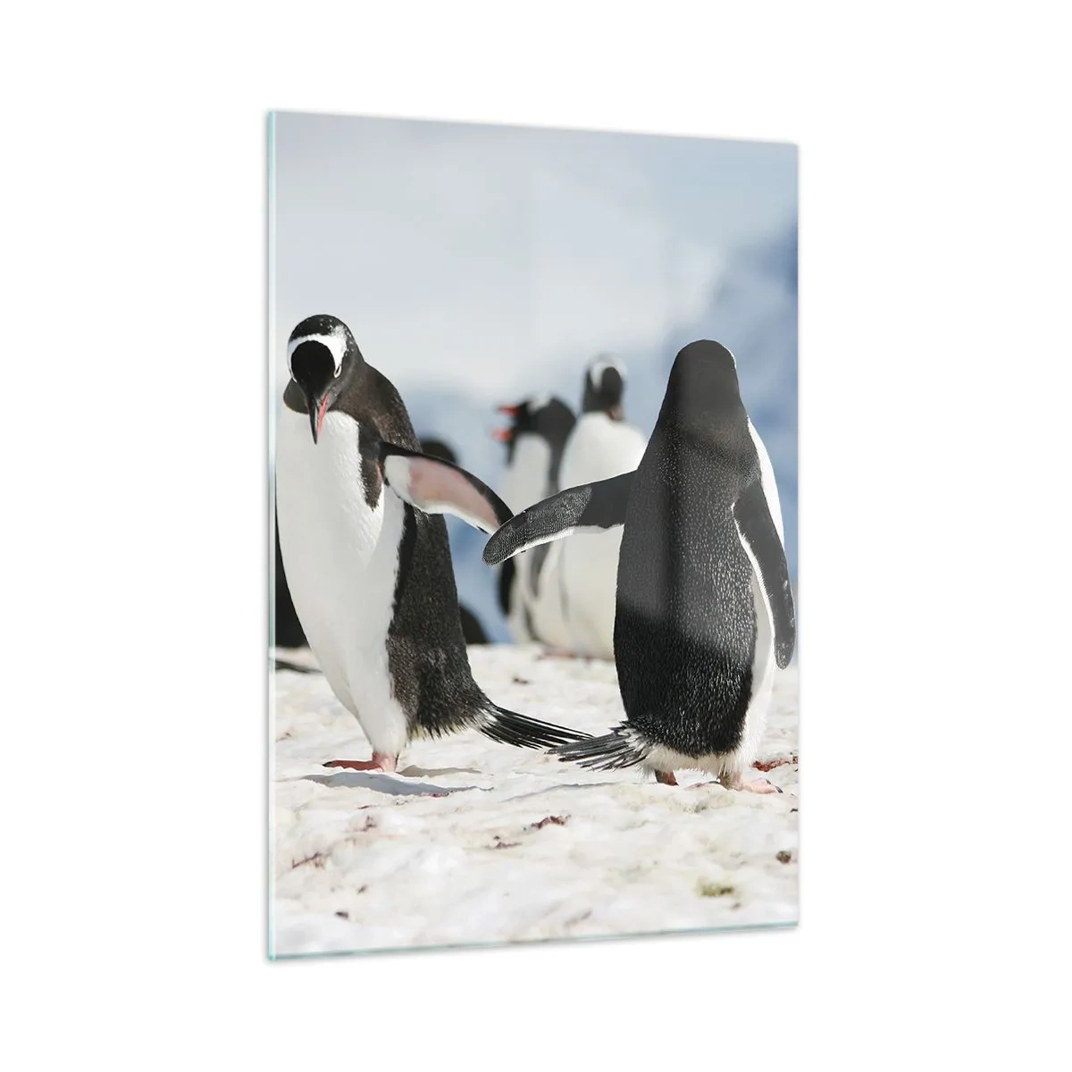 Quadro em vidro - Dança na neve - 50x70 cm