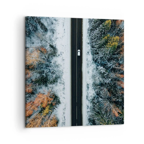 Quadro em tela - Cortar a floresta no inverno - 50x50 cm