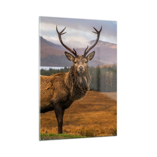 Quadro em vidro - A majestade da natureza - 50x70 cm