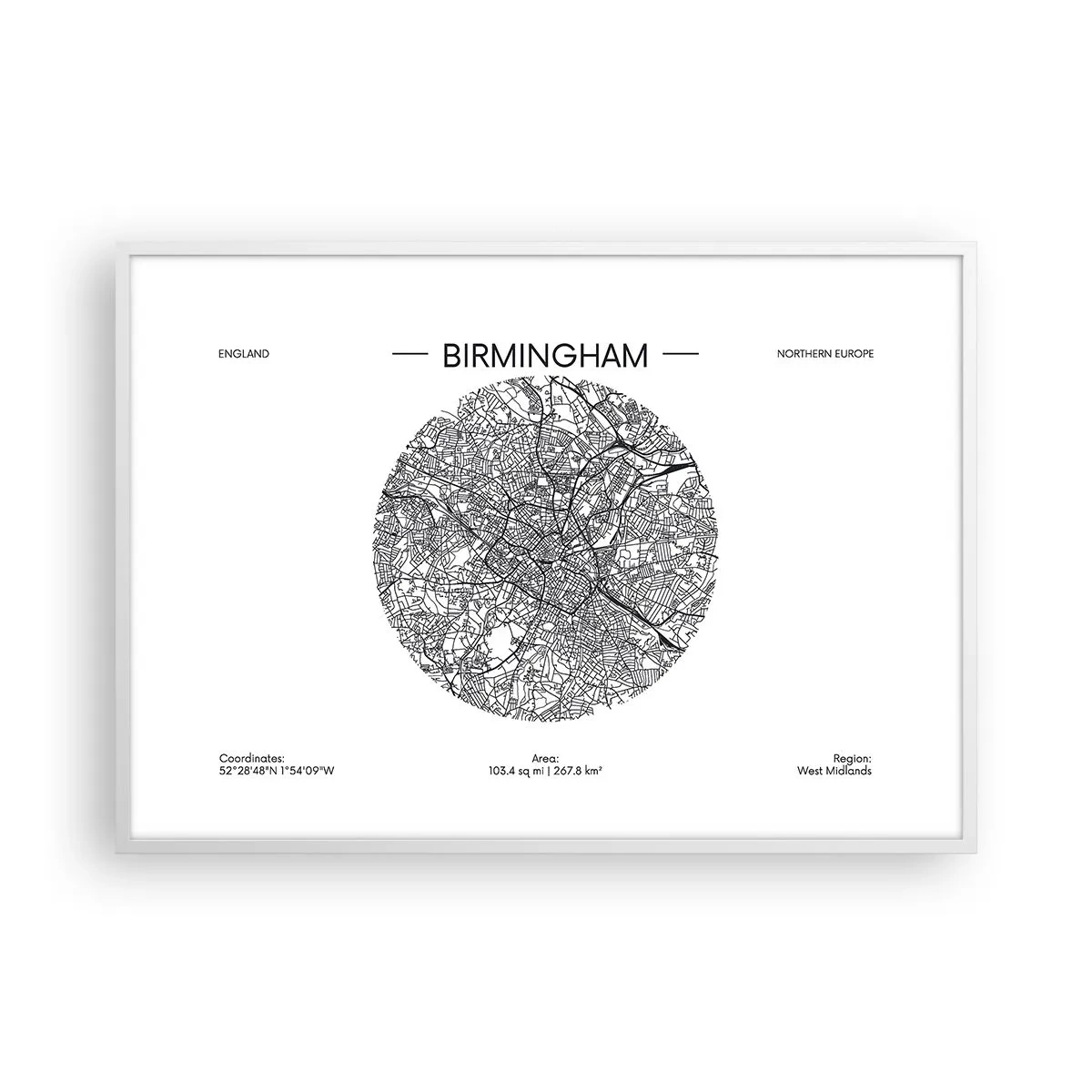 Pôster em moldura branca - Anatomia de Birmingham - 100x70 cm