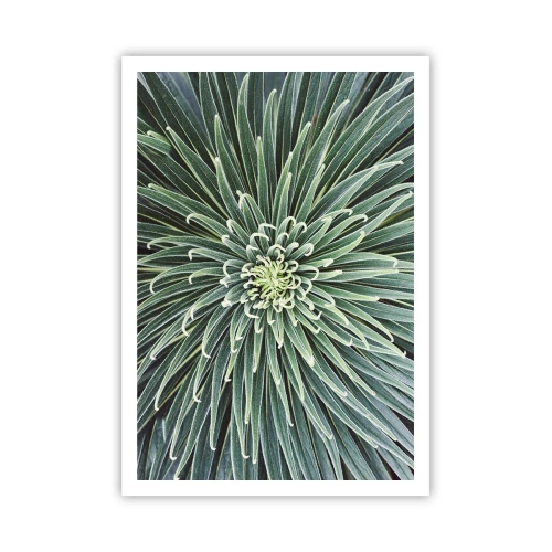 Pôster - Nasce uma estrela - 70x100 cm