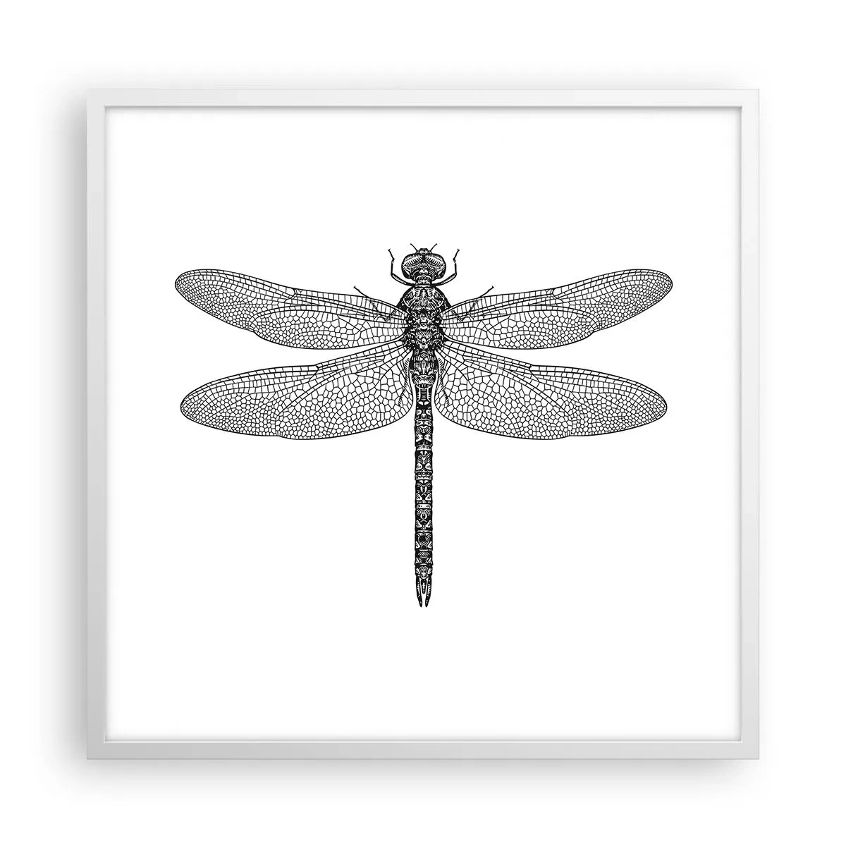 Pôster em moldura branca - Precisão da natureza - 60x60 cm
